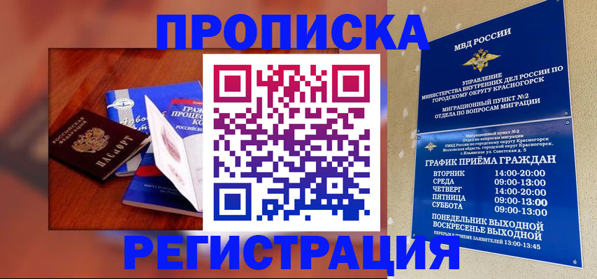 временная регистрация для школы в Старой Купавне